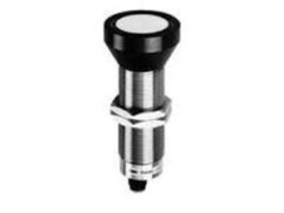 BAUMER ELECTRIC 10129530