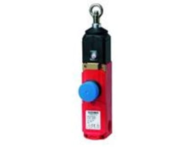 EUCHNER RPS3131PR300M