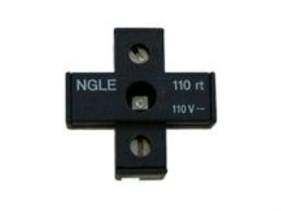 EUCHNER NGLE110RT