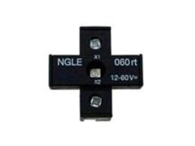 EUCHNER NGLE060RT