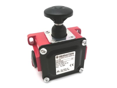 BERNSTEIN AG 604.1113.006