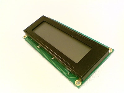 THERMO FISHER SCIENTIFIC P16123