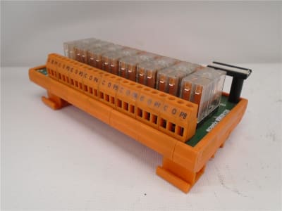 INTECH RBL81DTTNGNR-2DC24