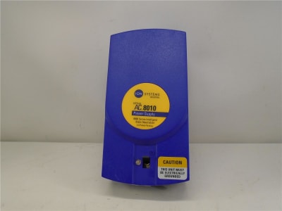 ION SYSTEMS INC 91-8010