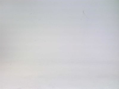 BOSCH MSK101D-0450-NM-M1-AP2-NNNN