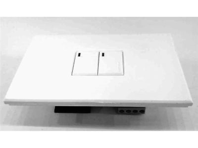 LUTRON NTGRX-2B-SL