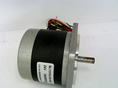 ANAHEIM AUTOMATION BLY231S-24V-4400