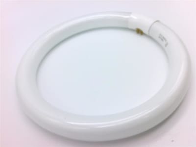 OC WHITE 13362
