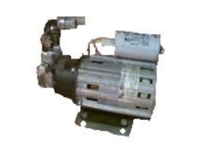 STANDEX E167491