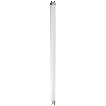WESTINGHOUSE F15T8/CW