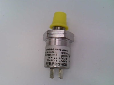 GEMS SENSORS 3100N0250S08B000