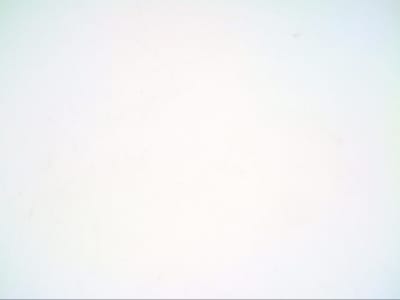 SAFTRONICS DG8-10-2/2HP