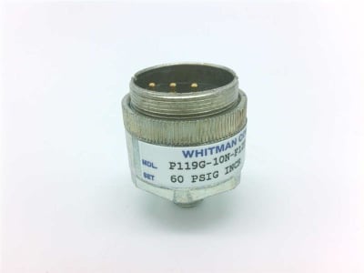 WHITMAN CONTROLS P119G-10N-F12T