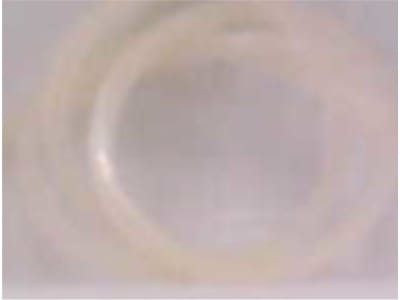 MULTIVAC PACKAGING MACH 883024