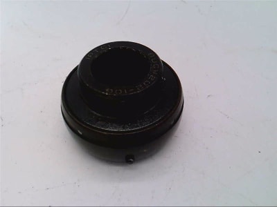 IPTCI BEARINGS BUCW202-10G