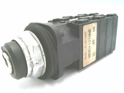 SCHNEIDER ELECTRIC XB3DX1219NE