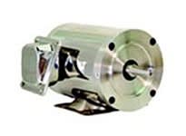 WEG 00118NP3ESS56CFL