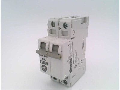 ALLEN BRADLEY 1492-CB2DG250