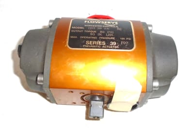 FLOWSERVE 10H39SN