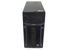 DELL T310
