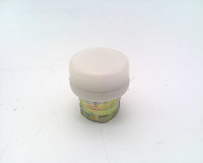 RAAS CONTROLS RB2-BVL01