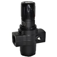 NORGREN R17-600-RGSA