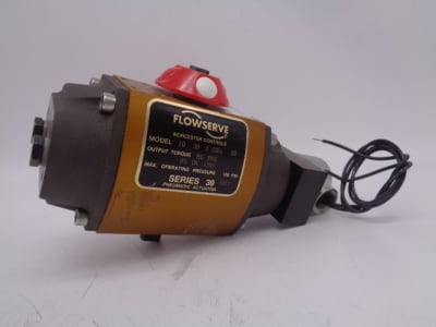 FLOWSERVE 10-39-S-120A-R6-3/4-446YBSE