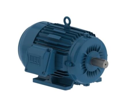 WEG 00158ET3E145T-W22