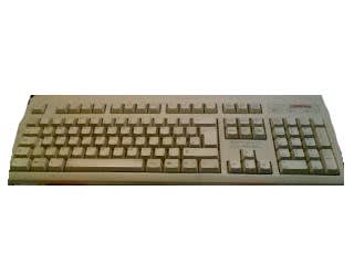 HEWLETT PACKARD COMPUTER 296433-031