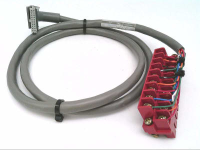 ALLEN BRADLEY 1492-CABLE10A