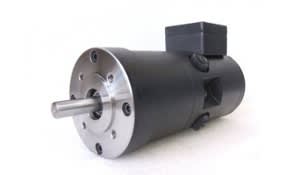 SEM SERVO MOTORS MT30Z4-61
