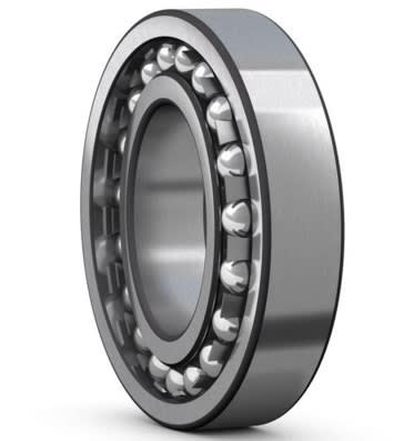 SKF 1306-EKTN9