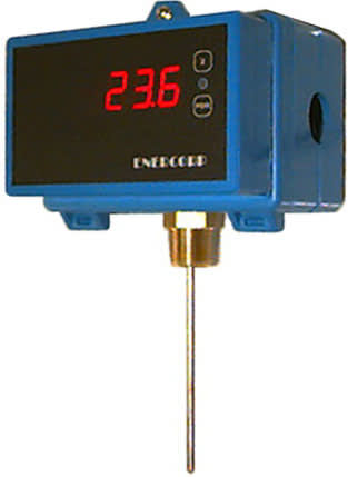 ENERCORP TS-P-4-T-10K