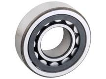 SCHAEFFLER GROUP NU310