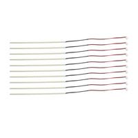 PACIFIC ILLUMINATION 2020