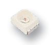 OSRAM LGT670-L1M2-1