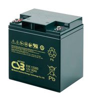 CSB BATTERY EVX12300