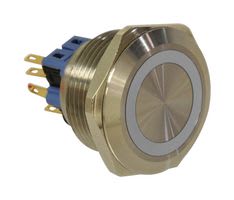 E SWITCH PV9F2U0SS-341