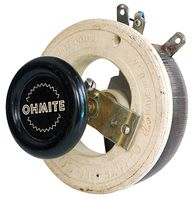 OHMITE RPS1R0E