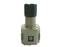CKD CORP R8000-20N