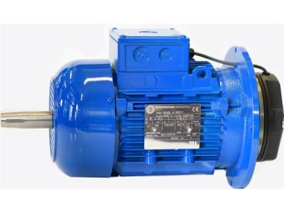 MOTORI ELETTRICI I10838-1100