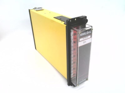 GENERAL ELECTRIC MMLG02