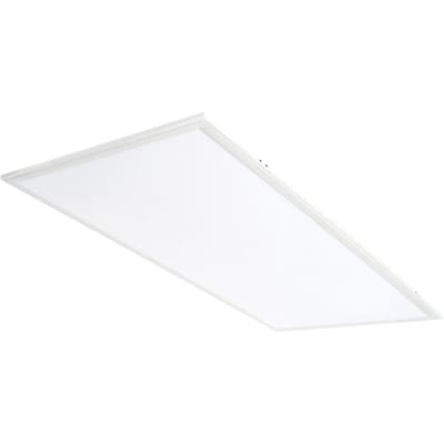 RAB LIGHTING EZPAN2X4-40N/D10