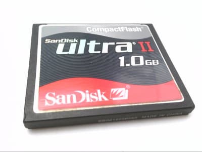 SANDISK SDCFH1024901
