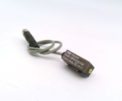 BAUMER ELECTRIC FHDK 10P3101/KS35