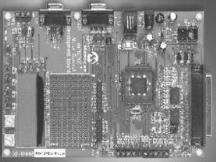MICROCHIP TECHNOLOGY INC DM300020