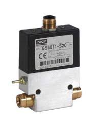 SKF GS6011-S20