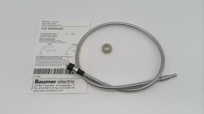 BAUMER ELECTRIC 10217054