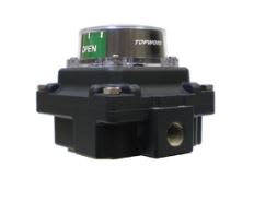 TOPWORX TXP-L20GNPM