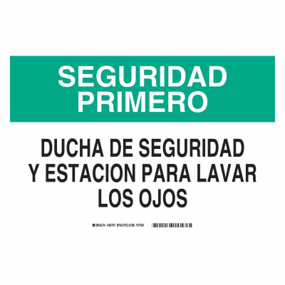 BRADY 38787